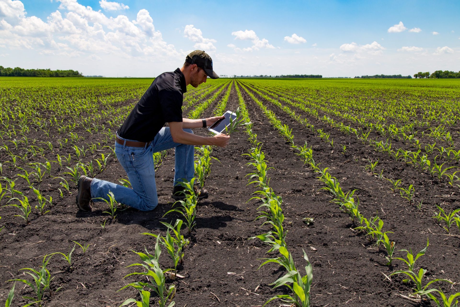 Servicios Tecnológicos para la Agricultura 02